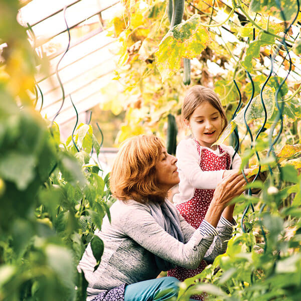 Rože & Vrt cover background